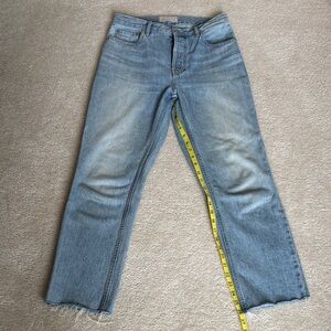 EUC Everlane Light Blue Straight Leg 90s Cheeky Jeans - 27